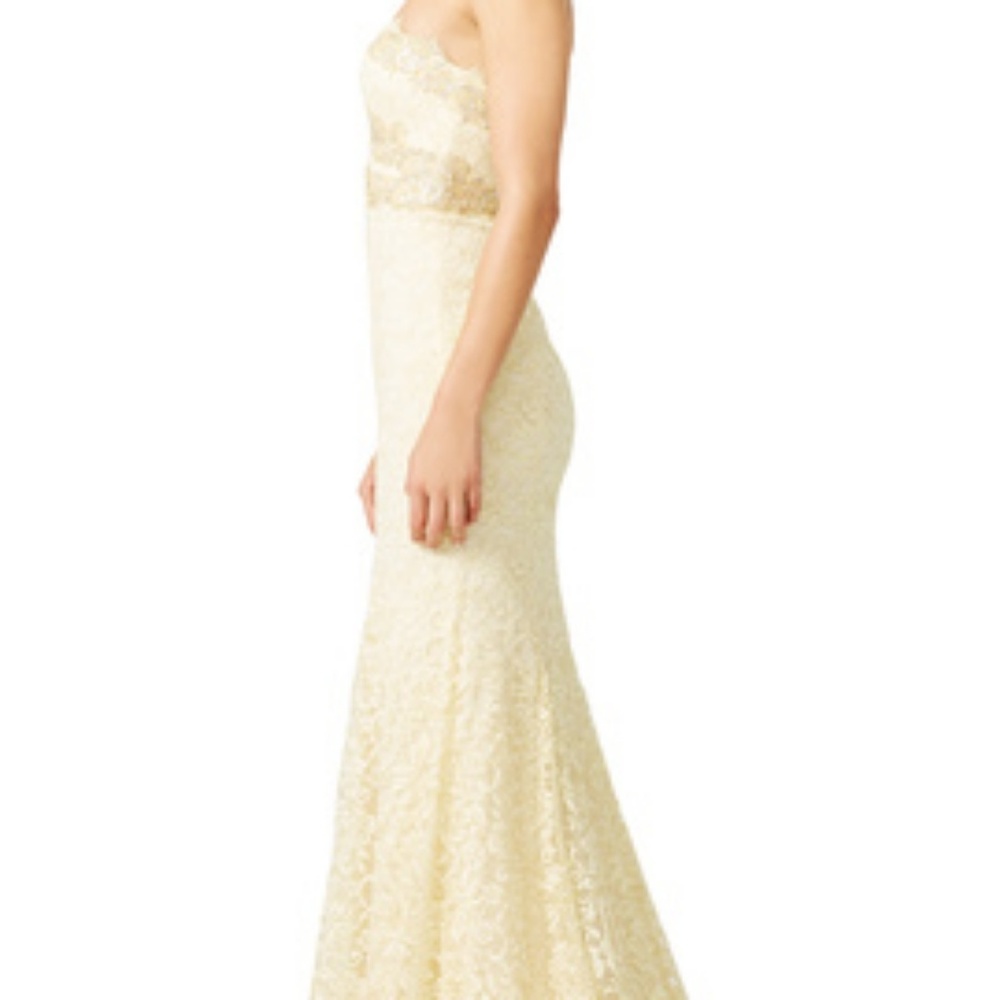 Light Yellow Gown - Picture 3 of 5